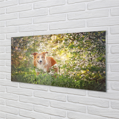 Obraz na szkle Pies las kwiaty
