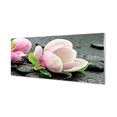 Obraz na szkle Magnolia kamienie