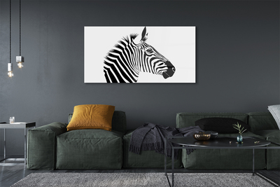 Obraz na szkle Ilustracja zebry