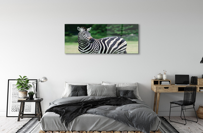 Obraz na szkle Zebra pole