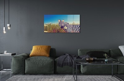 Obraz na szkle Zebra kwiaty