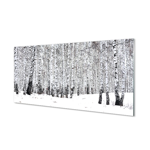 Obraz na szkle Drzewa zima śnieg brzozy