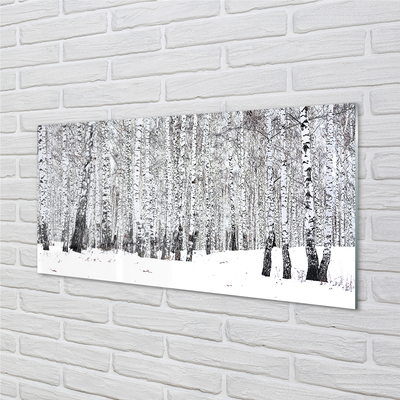 Obraz na szkle Drzewa zima śnieg brzozy