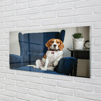 Obraz na szkle Siedzący pies