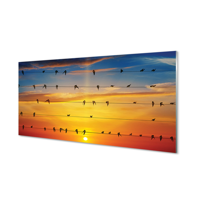 Obraz na szkle Ptaki na linach zachód słońca
