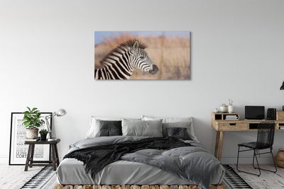 Obraz na szkle Zebra