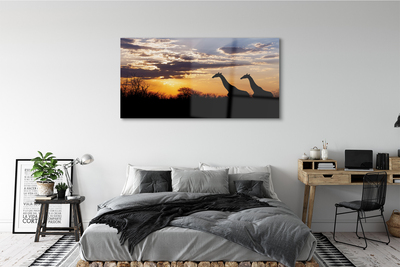 Obraz na szkle Żyrafy drzewa chmury