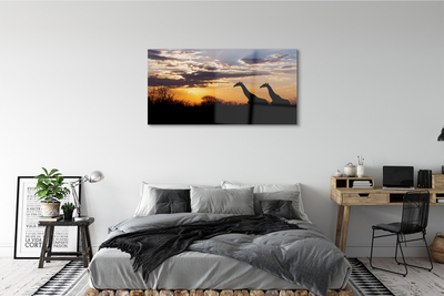 Obraz na szkle Żyrafy drzewa chmury