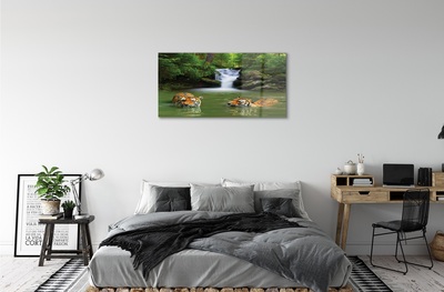 Obraz na szkle Wodospad tygrysy