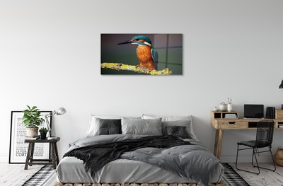 Obraz na szkle Kolorowy ptak na gałęzi