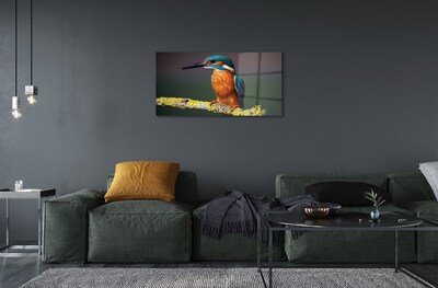 Obraz na szkle Kolorowy ptak na gałęzi
