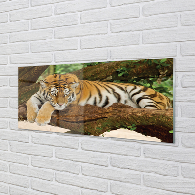 Obraz na szkle Drzewo tygrys