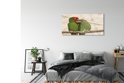 Obraz na szkle Zielone papugi