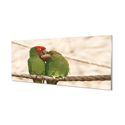 Obraz na szkle Zielone papugi