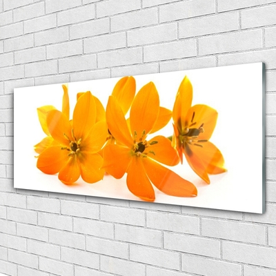 Obraz na Szkle Pomarańczowe Roślina Kwiaty