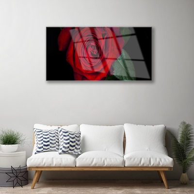 Obraz na Szkle Róża Na Ścianę