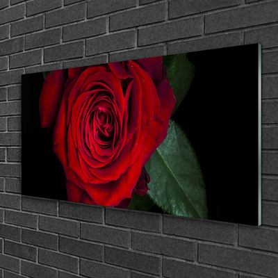 Obraz na Szkle Róża Na Ścianę
