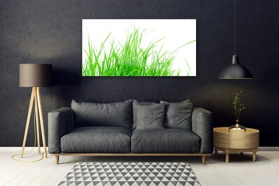 Obraz na Szkle Trawa Roślina