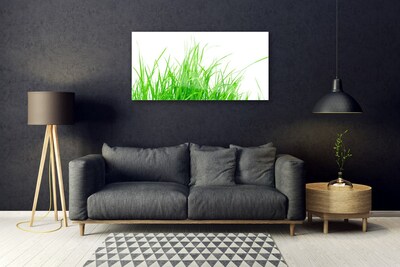 Obraz na Szkle Trawa Roślina