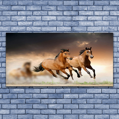 Obraz na Szkle Konie Zwierzęta