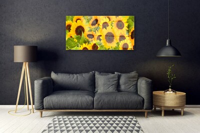 Obraz na Szkle Roślina Słoneczniki