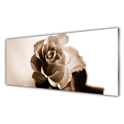 Obraz na Szkle Róża Kwiat Roślina