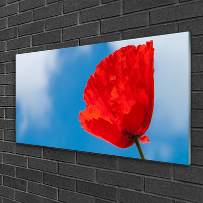 Obraz na Szkle Tulipan Na Ścianę