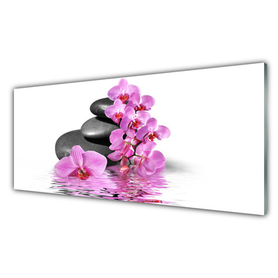 Obraz na Szkle Piękny Kwiat Kamienie