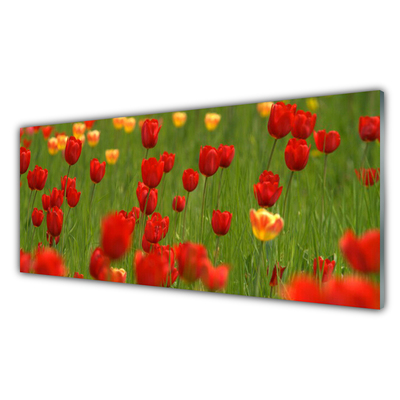 Obraz na Szkle Tulipany Roślina