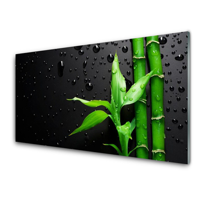 Obraz na Szkle Bambus Liście Roślina