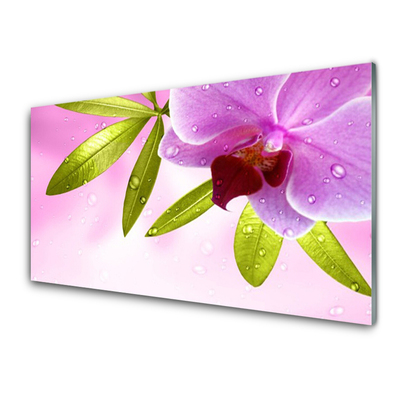 Obraz na Szkle Kwiat Liście Roślina