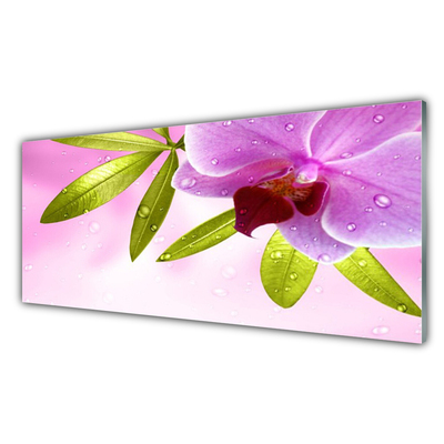 Obraz na Szkle Kwiat Liście Roślina
