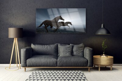 Obraz na Szkle Konie Zwierzęta