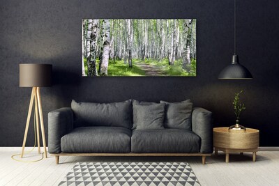 Obraz na Szkle Las Ścieżka Natura Drzewa