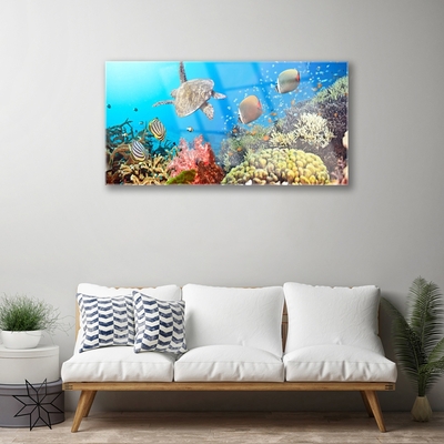 Obraz na Szkle Rafa Koralowa Krajobraz
