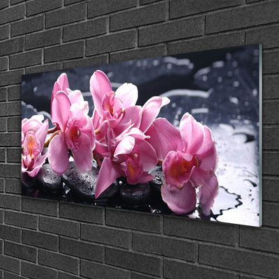 Obraz na Szkle Kwiat Orchidea do Pokoju