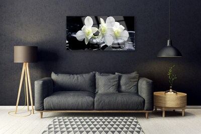 Obraz na Szkle Kwiat Storczyk Biały