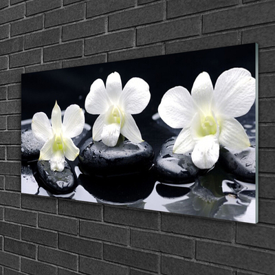 Obraz na Szkle Orchidea Kamienie Roślina