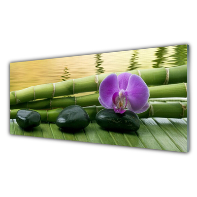 Obraz na Szkle Kwiat Kamienie Bambus Natura
