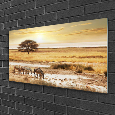 Obraz na Szkle Zebry Safari Krajobraz