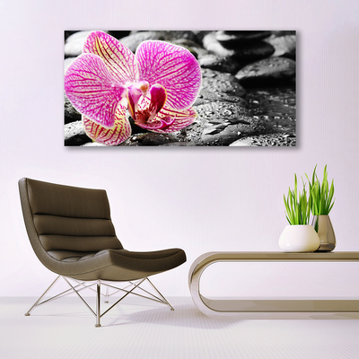 Obraz na Szkle Kwiat Kamienie Orchidea