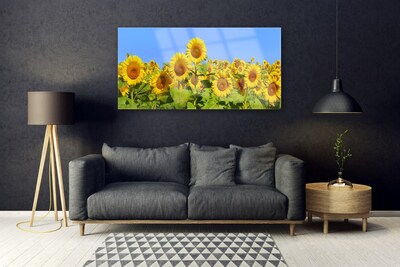 Obraz na Szkle Słonecznik Kwiat Roślina