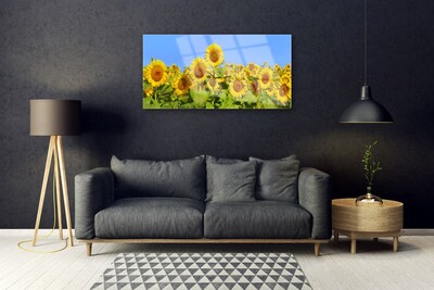 Obraz na Szkle Słonecznik Kwiat Roślina