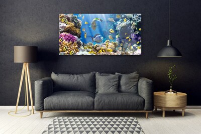 Obraz na Szkle Rafa Koralowa Natura