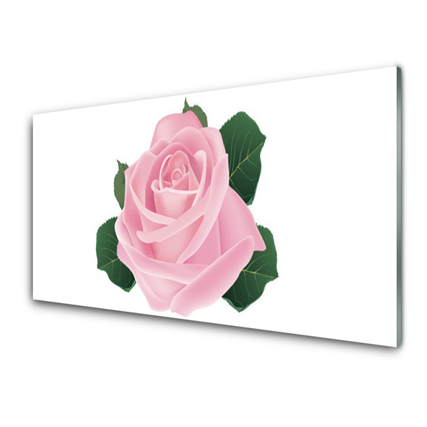 Obraz na Szkle Róża Kwiat Roślina Natura