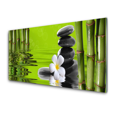 Obraz na Szkle Bambus Kamienie Roślina