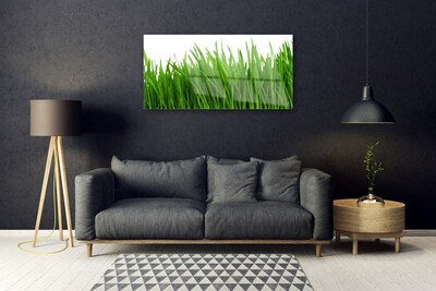 Obraz na Szkle Trawa Roślina Natura