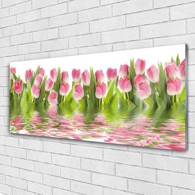 Obraz Szklany Tulipany Roślina Natura