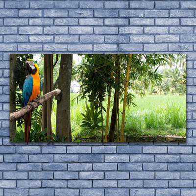 Obraz Szklany Papuga Drzewa Natura