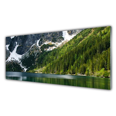 Obraz Szklany Jezioro Las Góry Krajobraz